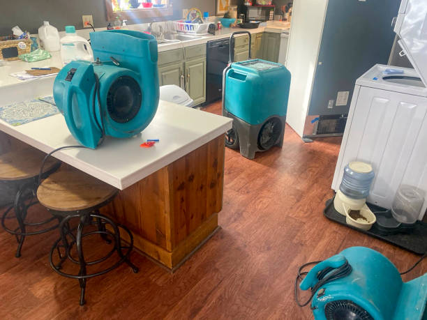 Best Carpet water damage restoration  in Lafayette, OR